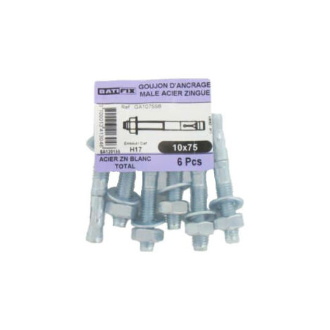 Pack de 6 goujons d'ancrage H17 BATIFIX diamètre 10 x 75mm