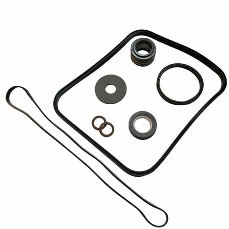 Pack de joints de remplacement pour pompe Super Pump - SPX1600GS - Noir - Hayward