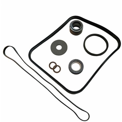 Pack de joints de remplacement pour pompe Super Pump - SPX1600GS - Noir - Hayward - Noir