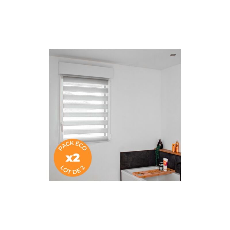Volet Moustiquaire - Pack éco de 2 stores Jour Nuit Gris h 150 cm sans perçage