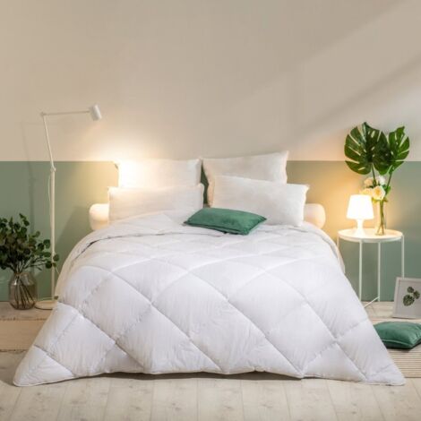 Pack Lavable à 95 Couette chaude 220x240cm + 2 Oreillers 60x60cm