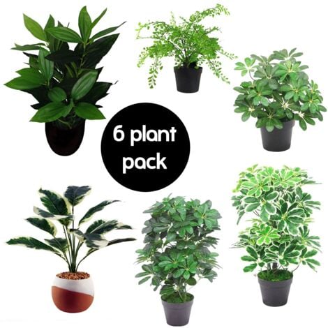 Pack of 6 Artificial Foliage Plants