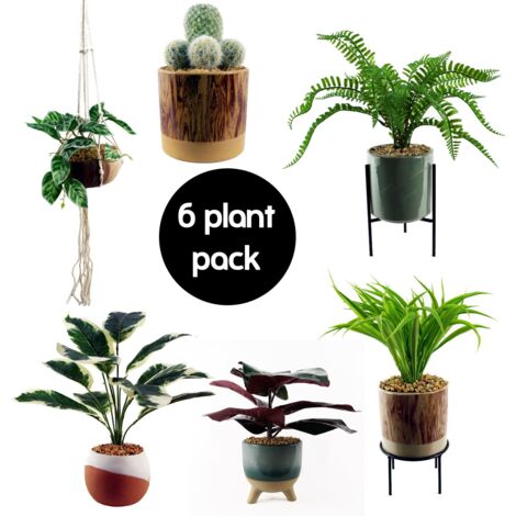 Pack of 6 Premium Artificial Plants