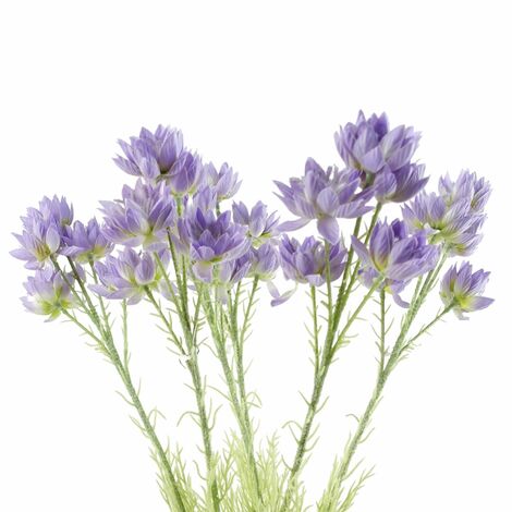 Pack of 6 x 60cm Purple Starflower Stem - 30 Flowers