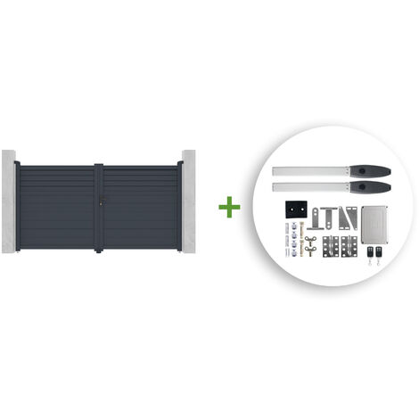 Pack puerta batiente 3m CARPATIA 300 x 160 cm + HICKER B200