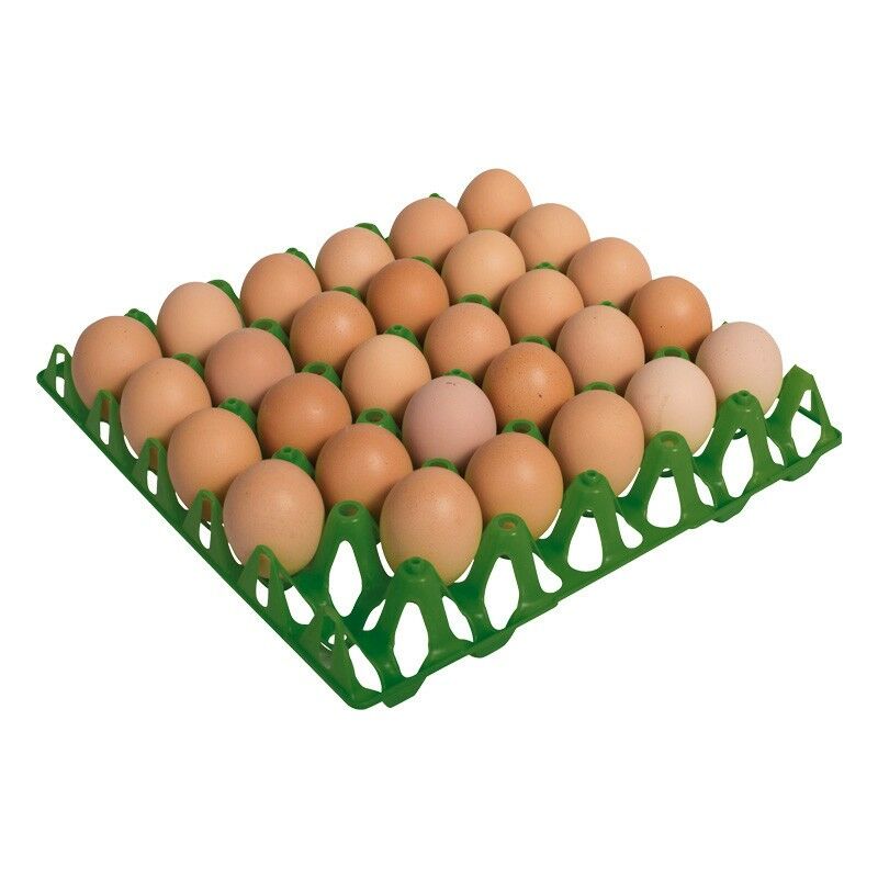 Kunststofftabletts mit einer Kapazität für 30 Eier, Maße 30 x 30 x 5 cm (Pack 10)