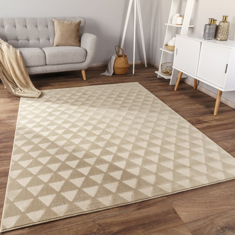 Tapis Salon Chambre Adulte Poils Ras Motif Boho Motif Scandinave Antidérapant 160x220 cm, Beige 2 - Paco Home