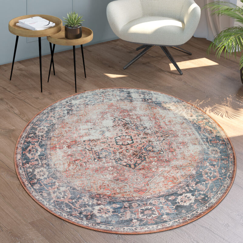 Tapis Salon Chambre Adulte Tissage Plat Rond Moderne Oriental Vintage Lavable 120 cm rond, Multicolore 3 - Paco Home