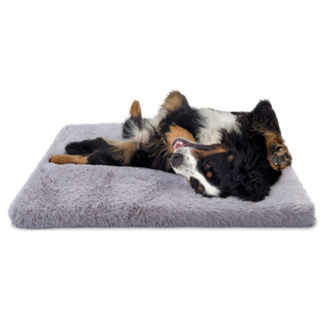 Paco Home Letto Per Cani Per Gatti Soffice Cuscino Divano Coperta Cestino Per Cani Grigio, 80x120 cm