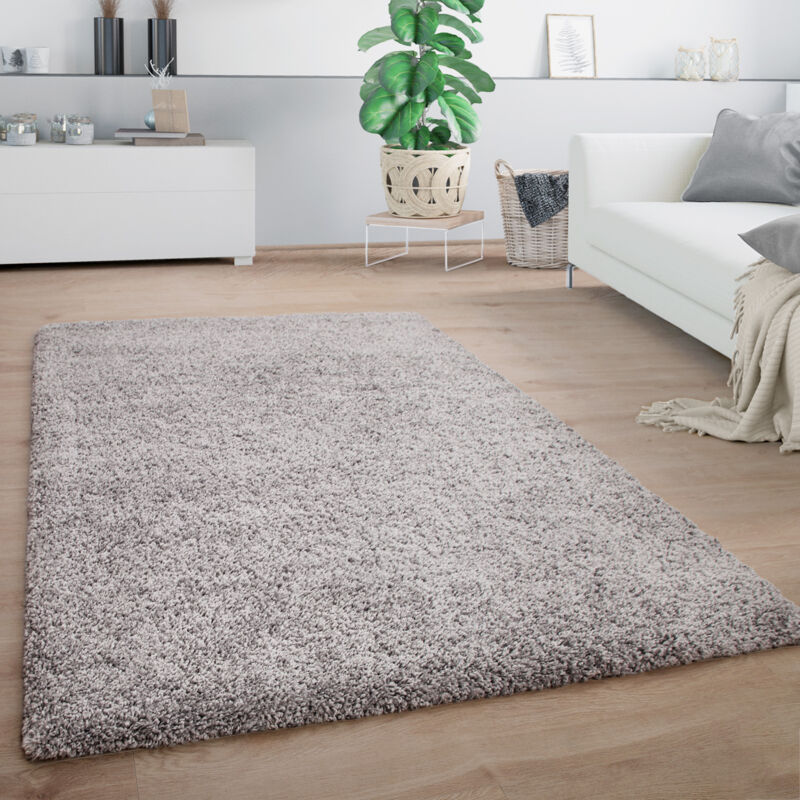 Tapis Shaggy Tapis De Salon Poils Longs Monochrome Moelleux Doux Moderne Gris 160x220 cm - Paco Home