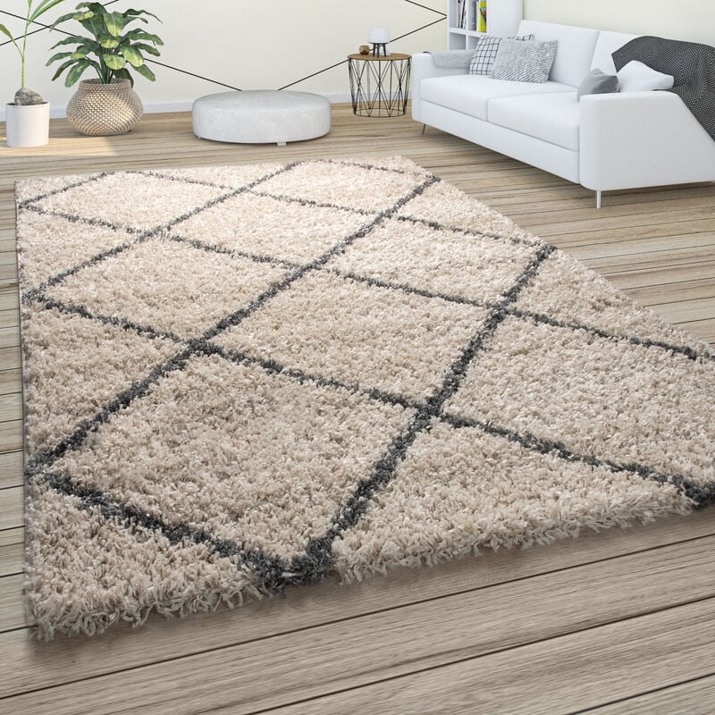 Paco Home - Tapis à Poils Longs, Shaggy Doux Salon Style Scandinave Avec Motif Losanges 120x170 cm, Beige-Anthracite