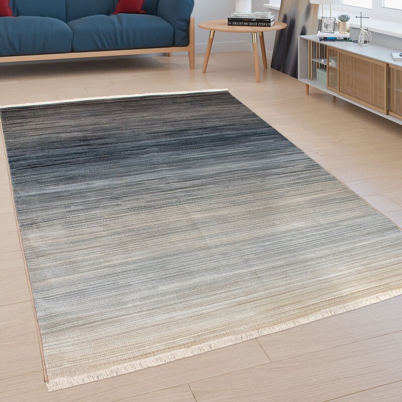 Tapis De Créateur, Tapis à Poils Ras Pour Salon, Avec Dégradé de Couleurs, Bleu 80x150 cm - Paco Home