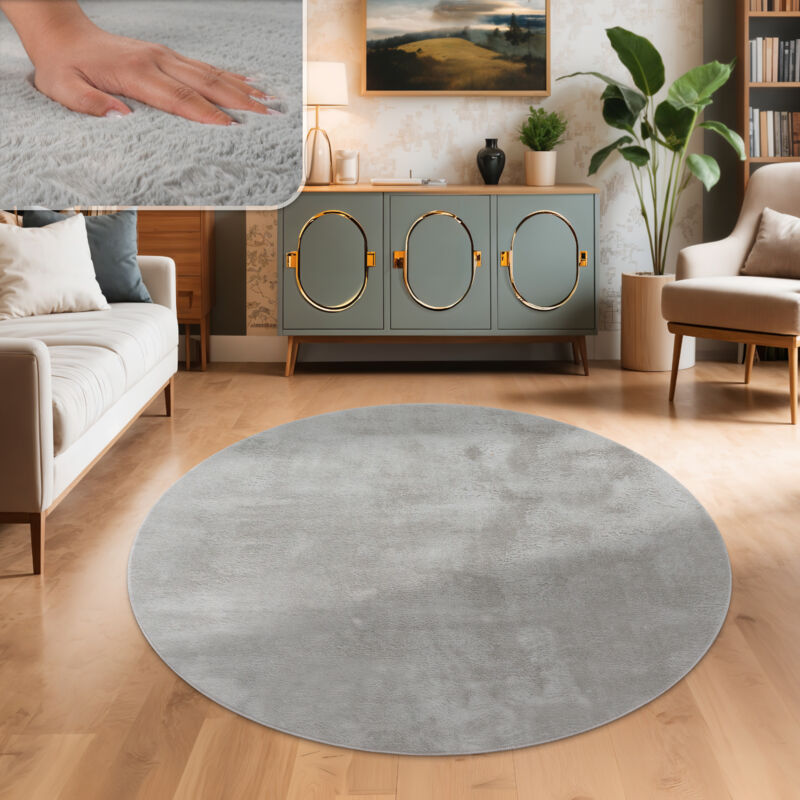 Tapis Salon En Fausse Fourrure Pelucheux Hautes Mèches Doux Plusieurs Couleurs Gris, 200 cm rond - Paco Home