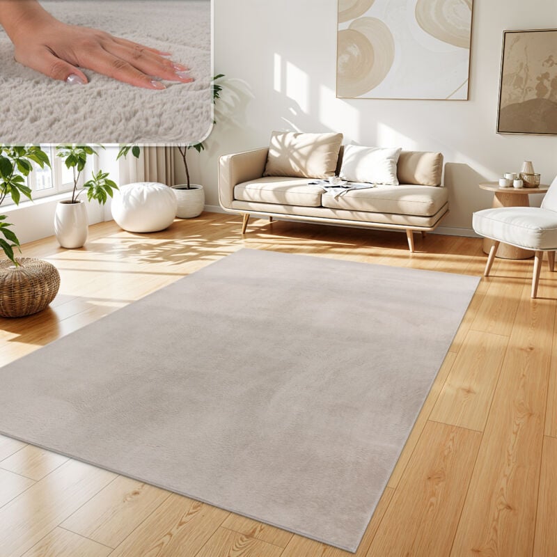 Tapis Salon En Fausse Fourrure Pelucheux Hautes Mèches Doux Plusieurs Couleurs 140x200 cm, Beige - Paco Home