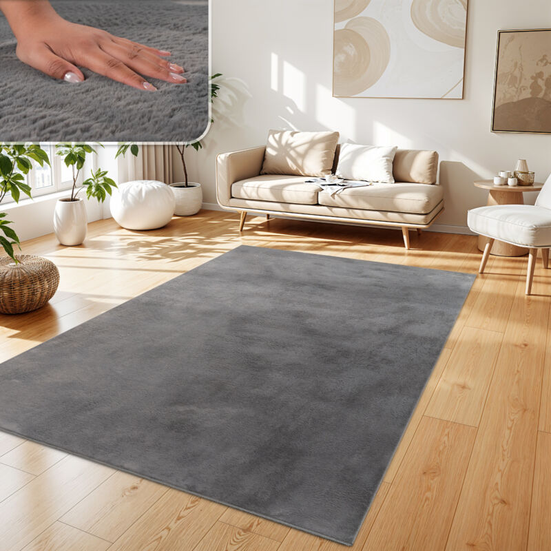 Tapis Salon En Fausse Fourrure Pelucheux Hautes Mèches Doux Plusieurs Couleurs 140x200 cm, Anthracite - Paco Home