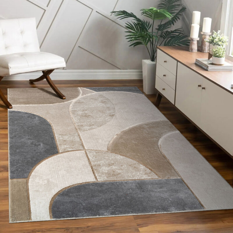 Tapis De Salon Motif Géométrique Court Motif Arc Design Abstrait Gris Beige 160x230 cm - Paco Home