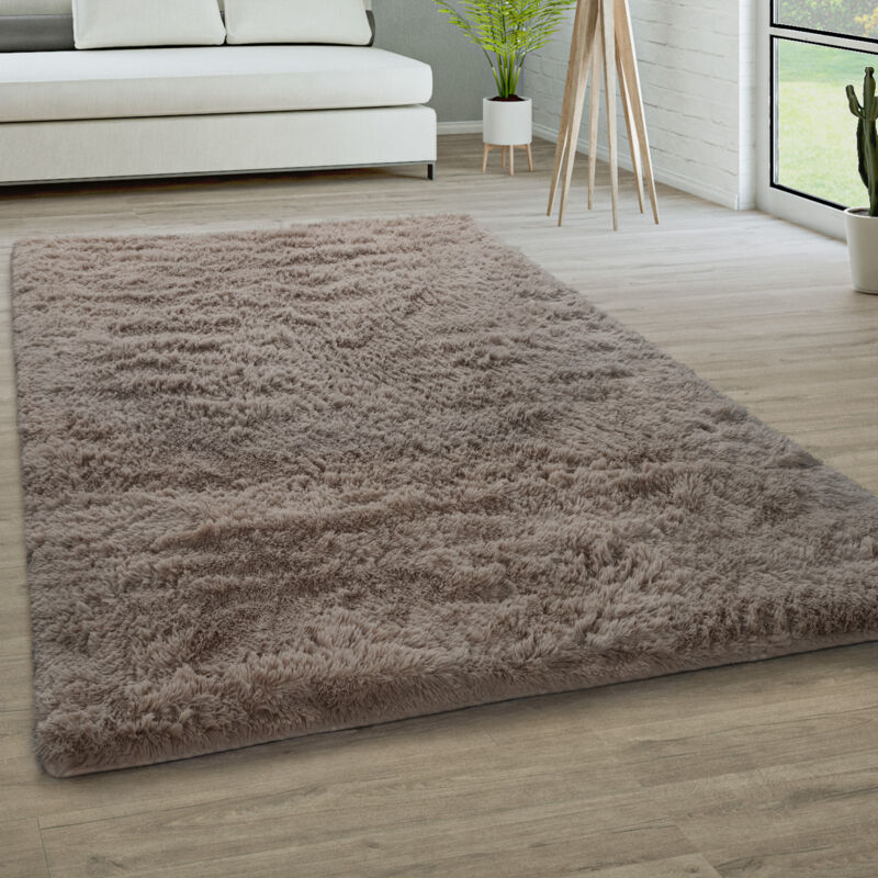 Paco Home Tapis De Salon Poils Longs Fausse Fourrure Shaggy Moelleux Monochrome 200x290 cm, Taupe