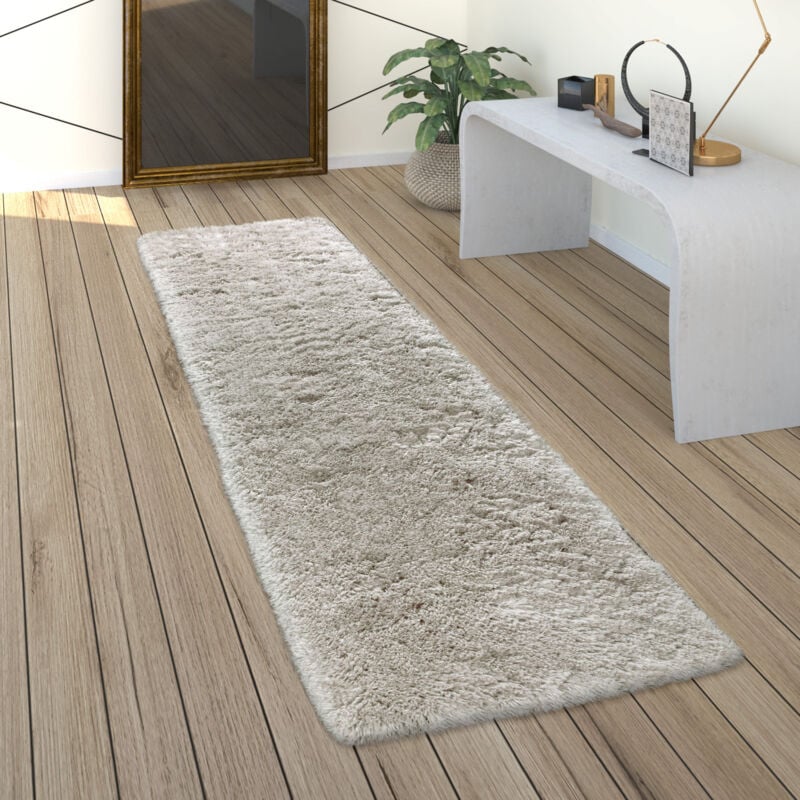 Paco Home - Tapis De Salon Poils Longs Shaggy Uni Doux Moderne Gris 60x100 cm