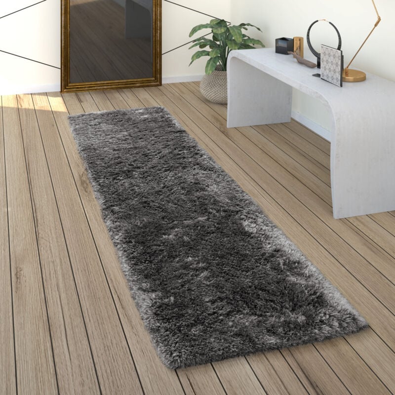Paco Home - Tapis De Salon Poils Longs Shaggy Uni Doux Moderne Gris foncé 60x100 cm