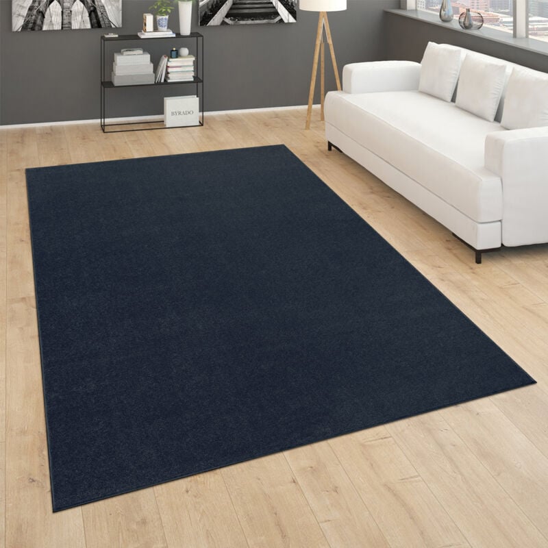 Tapis De Salon Poils Ras Chambre à Coucher Motif Moderne Monochrome Bleu Foncé 160 cm carré - Paco Home