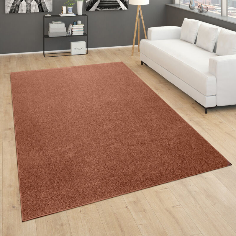 Tapis De Salon Poils Ras Chambre à Coucher Motif Monochrome Moderne Marron Rouge 160 cm carré - Paco Home