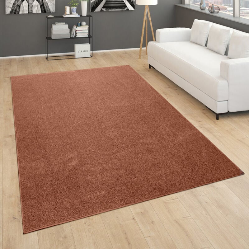 Tapis De Salon Poils Ras Chambre à Coucher Motif Monochrome Moderne Marron Rouge 140x200 cm - Paco Home