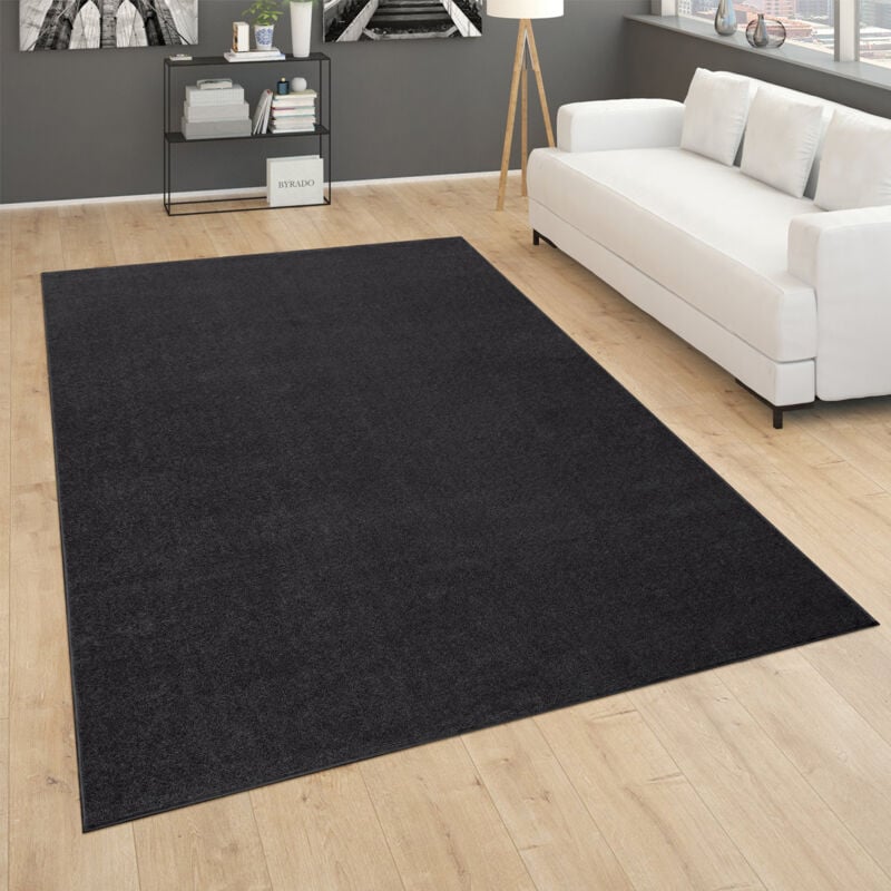 Tapis De Salon Poils Ras Chambre à Coucher Motif Monochrome Moderne Noir Gris 160 cm carré - Paco Home