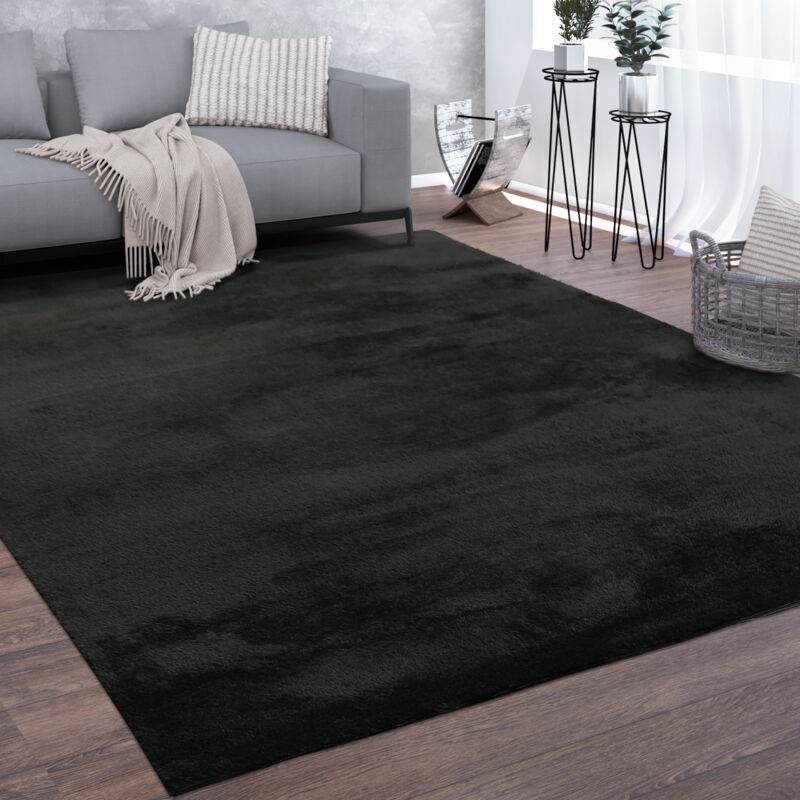 Tapis De Salon Poils Ras Lavable Monochrome Style Moderne Noir 200x280 cm - Paco Home