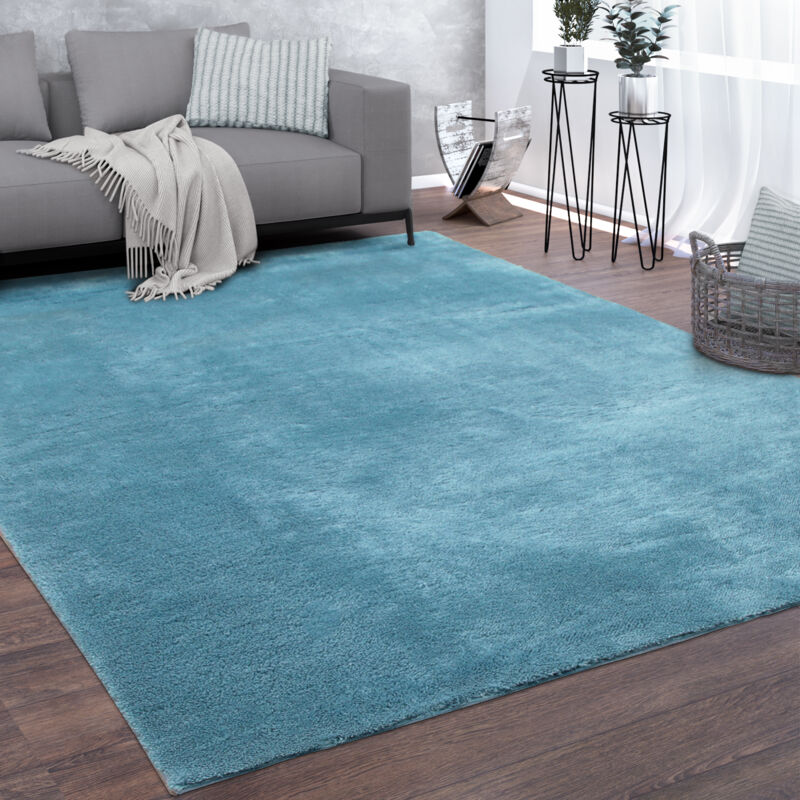 Tapis De Salon Poils Ras Lavable Monochrome Style Moderne Turquoise 200 cm carré - Paco Home