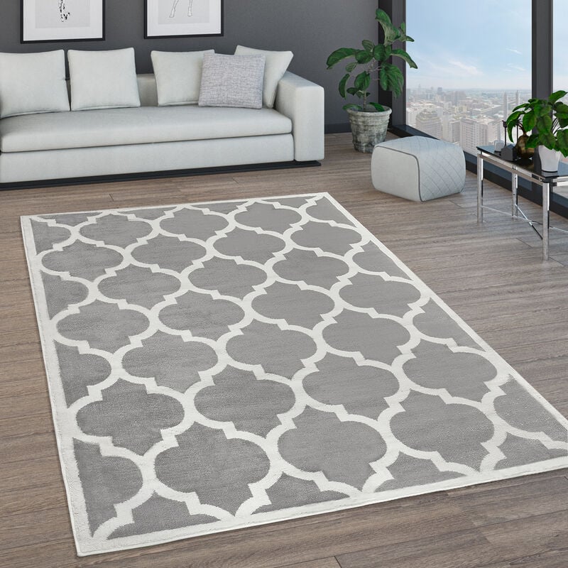 Tapis De Salon Tapis Poils Ras Motifs Marocains Cercle Et Bordures Moderne 160x220 cm, Gris 8 - Paco Home