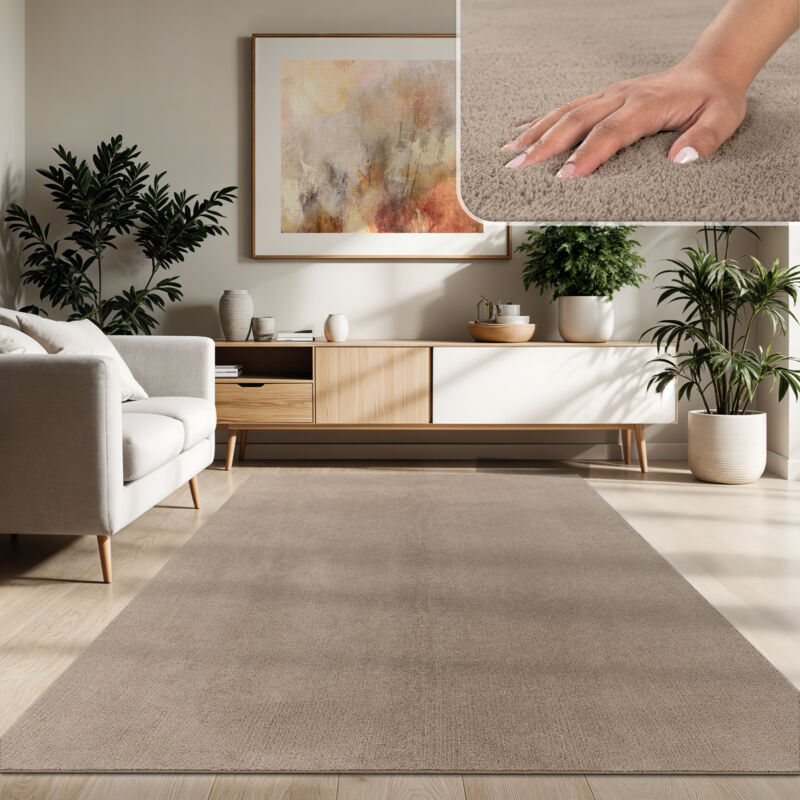 Tapis Moderne Salon à Poils Courts Lavable Doux Uni Effet Fourrure Antidérapant 200x280 cm, Taupe - Paco Home
