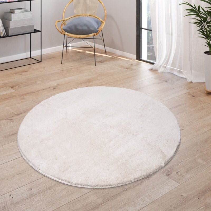 Tapis, Tapis à Poils Ras Doux Pour Salon, Doux, Lavable, Beige 200 cm rond - Paco Home