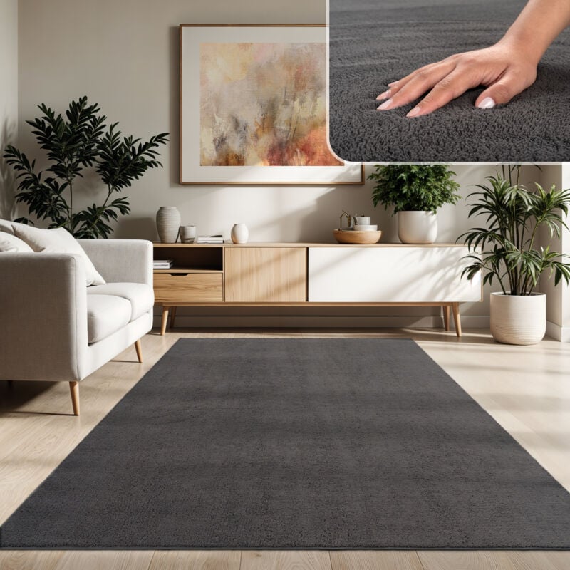 Tapis Moderne Salon à Poils Courts Lavable Doux Uni Effet Fourrure Antidérapant 160x220 cm, Anthracite - Paco Home