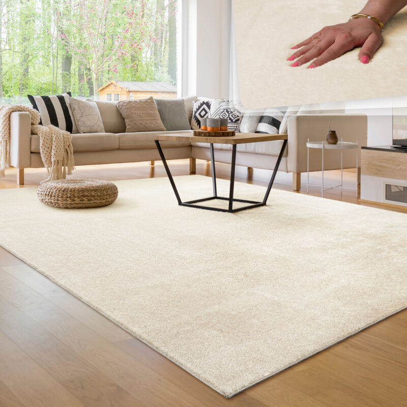 Tapis Moderne Salon à Poils Courts Lavable Doux Uni Effet Fourrure Antidérapant 200x280 cm, Crème - Paco Home