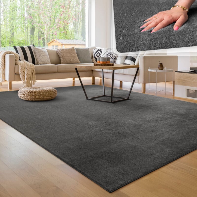 Tapis Moderne Salon à Poils Courts Lavable Doux Uni Effet Fourrure Antidérapant Anthracite, 240x340 cm - Paco Home
