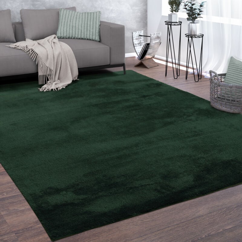 Tapis De Salon Poils Ras Lavable Monochrome Style Moderne Vert 300x400 cm - Paco Home