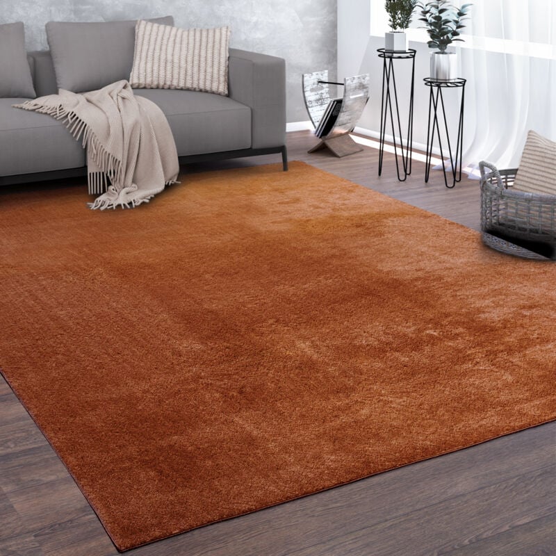 Tapis De Salon Poils Ras Lavable Monochrome Style Moderne Cuivre 240x340 cm - Paco Home
