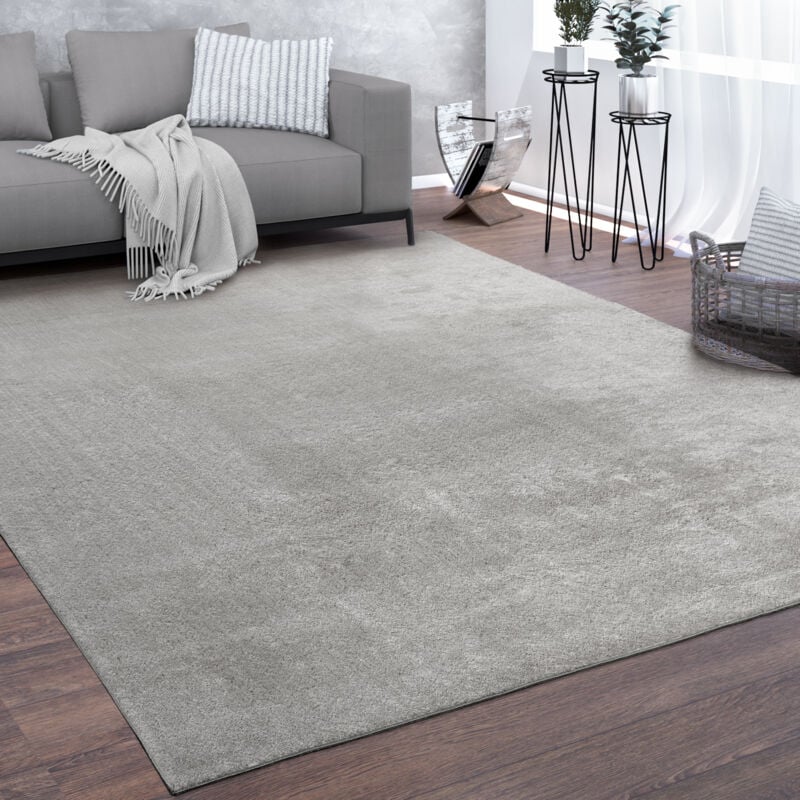 Tapis De Salon Poils Ras Lavable Monochrome Style Moderne Argent 300x400 cm - Paco Home