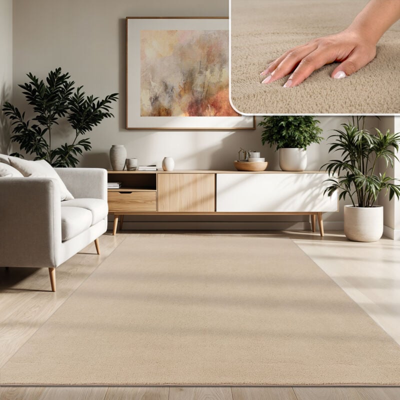 Tapis Moderne Salon à Poils Courts Lavable Doux Uni Effet Fourrure Antidérapant 240x340 cm, Beige 2 - Paco Home