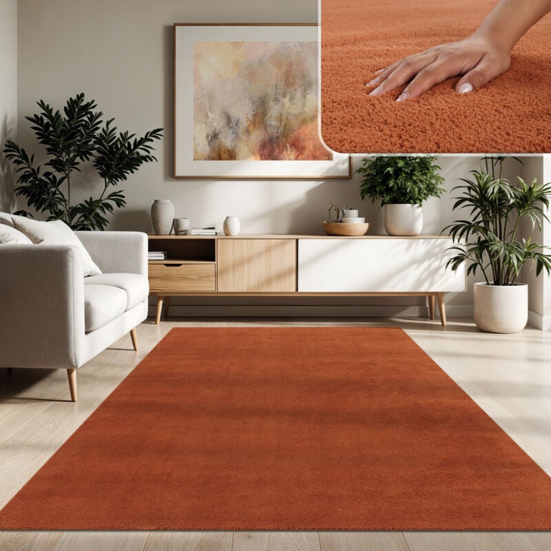 Tapis Moderne Salon à Poils Courts Lavable Doux Uni Effet Fourrure Antidérapant 140x200 cm, Cuivre - Paco Home