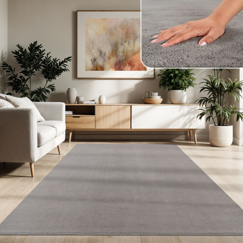 Tapis Moderne Salon à Poils Courts Lavable Doux Uni Effet Fourrure Antidérapant Gris, 300x400 cm - Paco Home