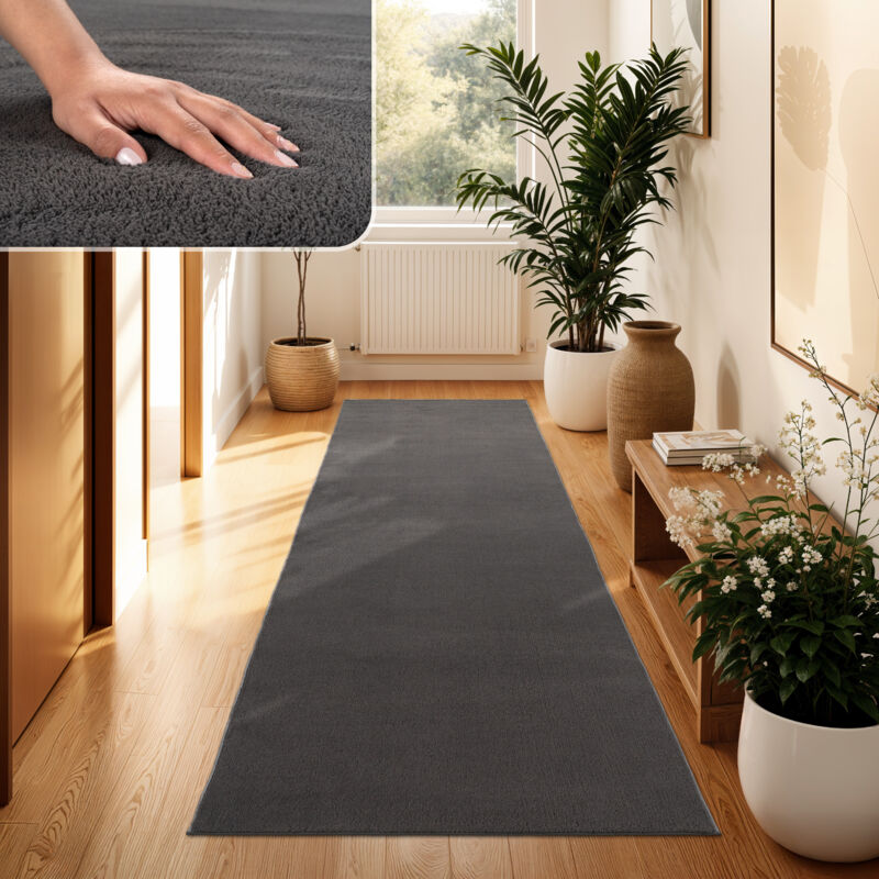 Paco Home - Tapis Moderne Salon à Poils Courts Lavable Doux Uni Effet Fourrure Antidérapant Anthracite, 100x200 cm