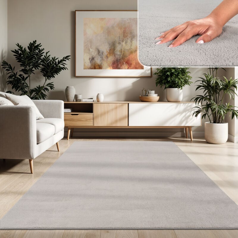Tapis Moderne Salon à Poils Courts Lavable Doux Uni Effet Fourrure Antidérapant 200x280 cm, Argent - Paco Home