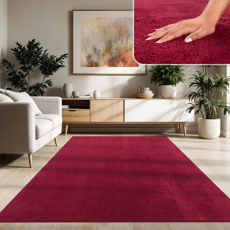 Tapis Moderne Salon à Poils Courts Lavable Doux Uni Effet Fourrure Antidérapant 120x170 cm, Rouge - Paco Home
