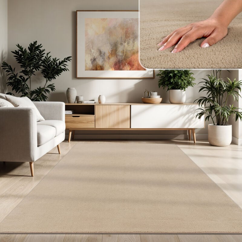 Tapis Moderne Salon à Poils Courts Lavable Doux Uni Effet Fourrure Antidérapant 200 cm carré, Beige 2 - Paco Home