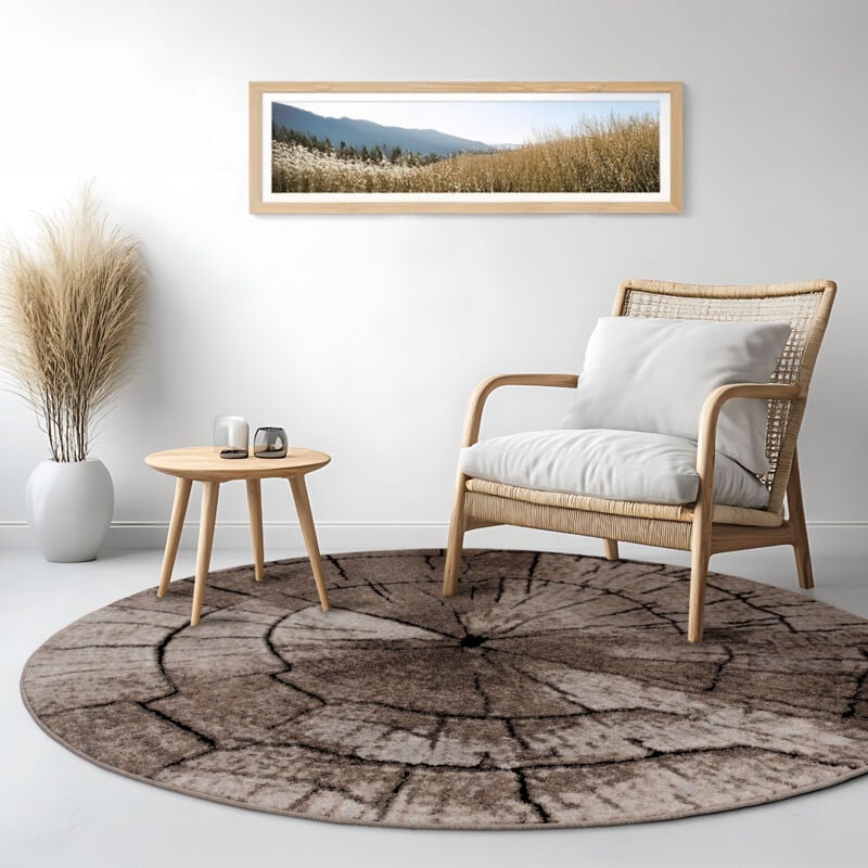 Tapis Design Élégant Salon Tronc D'Arbre Effet D'Optique Nature Gris Brun Beige 160 cm rond - Paco Home