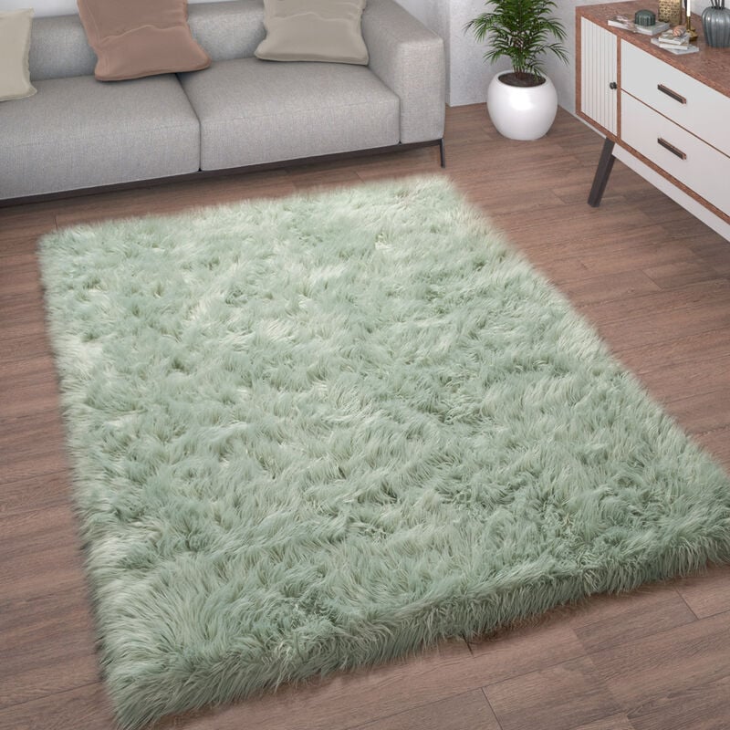 Paco Home - Tapis De Salon Fausse Fourrure Imitation Shaggy Coussins De Sol Forme Cœur Rond 60x100 cm, Vert Menthe