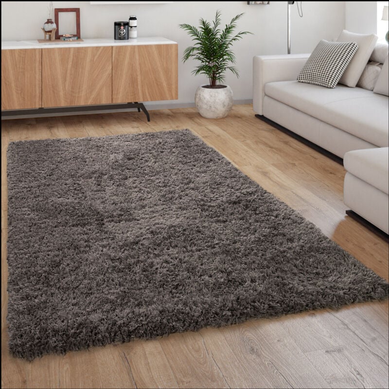 Tapis Poils Hauts Moelleux Moderne Shaggy Style Flokati Confortable Uni Anthracite 120x160 cm - Paco Home
