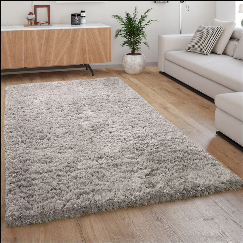 Tapis Poils Hauts Moelleux Moderne Shaggy Style Flokati Confortable Uni Gris 80x150 cm - Paco Home