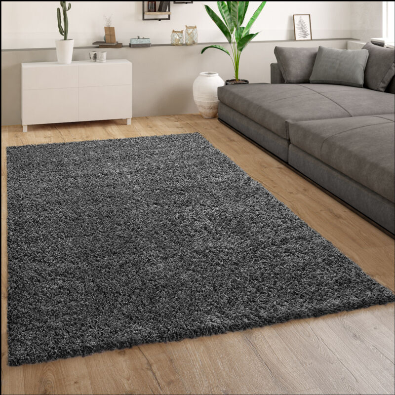 Paco Home Tapis Poils Longs Gris Anthracite Salon Shaggy Résistant Doux Robuste 200x280 cm